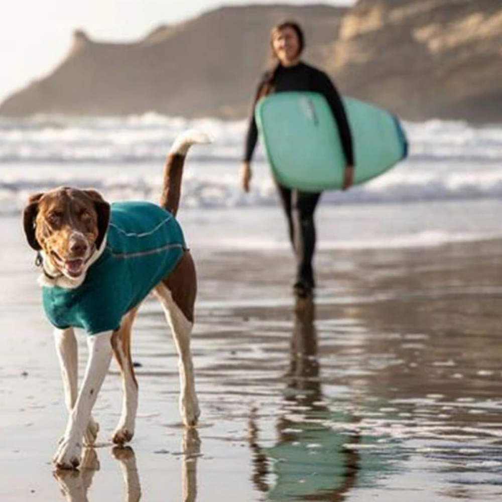 Teal Dog Sweater